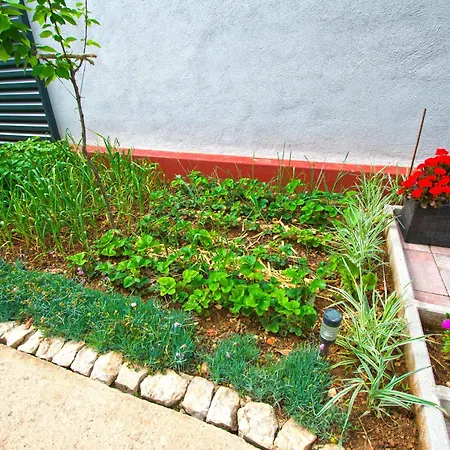 Koko * Opatijski Torovi