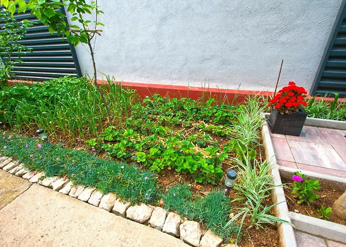 Koko * Opatijski Torovi